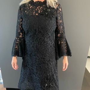 Formal Teri Jon dress